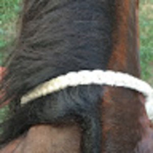 Meet your Posher, Arnulfo